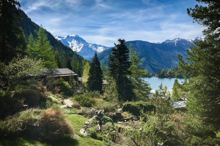 Jardin Botanique Alpin Flore-Alpe