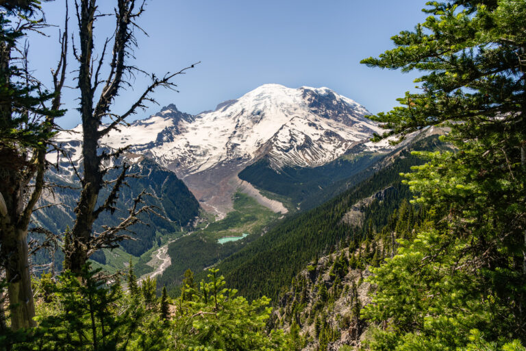 Emmons Vista - Sunrise - Mt. Rainier National Park