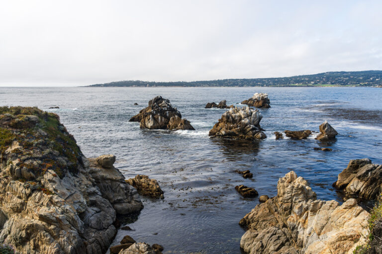 Point Lobos State Natural Reserve - Carmel-by-the-Sea, CA